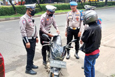 Operasi Zebra Maung 2025, Jaring 239 Pelanggaran Lalu Lintas