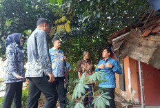 Sekda Bakal Pindahkan Pegawai BPBD ke Puspemkab