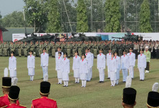 Tangsel Panen Penghargaan Nasional, Di Momen HUT ke-81 RI
