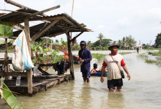 3.286 Rumah Terendam Banjir di Awal Tahun 2026