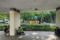 Tahun Ini Kominfo Bakal Pasang 2.000 Titik Wifi Gratis