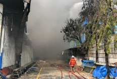 Kasus Kebakaran Meningkat Dua Kali Lipat