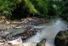 Pemkot Serang Godok Perwal Sanksi Buang Sampah
