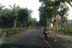 Perbaikan Jalan Nasional Lambat