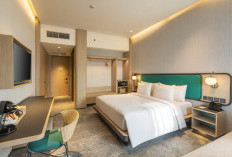 Sambut Libur Sekolah, VIVERE Hotel, ARTOTEL Curated Hadirkan Promo “School’s Out, Fun’s Stay” Mulai Rp959,000