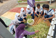 SMPN 4 Curug Wujudkan Program Penghijauan Sekolah