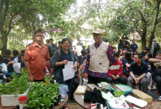 Siswa SMP Strada Praktik Tanam Sayuran