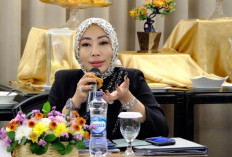 Dorong Investasi di Kabupaten Tangerang, Sri Panggung Usulkan Penataan Kawasan Industri