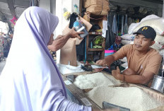 Harga Beras Ketan Melonjak Tajam, Sempat Capai Rp20.000 per Liter