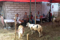 Mulai Marak Pedagang Hewan Kurban di Pagedangan, Diingatkan Jaga Kebersihan dan Kesehatan Lingkungan