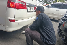 Mayoritas Mobil Solar Tak Lolos Uji Emisi