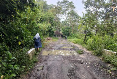 Warga Protes Jalan Rusak Tak Kunjung Diperbaiki