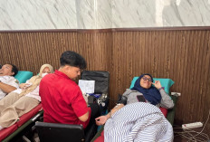 Keselamatan Transportasi Harus Jadi Prioritas Utama
