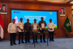 Pemprov dan PLN Kolaborasi Penyediaan Energi Listrik Berkelanjutan 