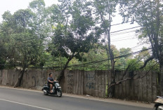 Kabel Semrawut di Jalan KH Hasyim Asy’ari Dikeluhkan 
