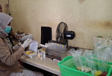 BPOM Temukan Takjil Berformalin dan Pewarna Tekstil