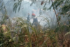Belum Sebulan, Terjadi 31 Kebakaran