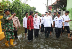 Bupati Maesyal Tinjau Banjir di Desa Patrasana dan Kandawati, Penanganan Cepat dan Tepat Sasaran