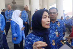 Jika Tak Patuhi Aturan, Zakiyah Perintahkan Bongkar THM