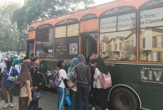 HUT RI ke-81, Ribuan Warga Nikmati Layanan Bus Tayo dan Si Benteng Gratis 