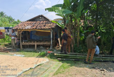 Pemprov Banten Hanya Bangun 87 Unit RTLH