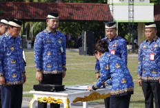 192 Honorer K2 Belum Masuk PPPK Penuh Waktu, Masuk Dalam Pengajuan 2026