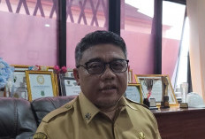 Dorong Pembentukan Gugus Tugas Penghematan Listrik