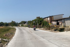 DBMSDA Respon Cepat Tangani Aduan, Jalan Teluk Jakarta Pasar Kemis Kembali Mulus