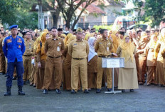 BKD Klaim WFH Perdana Berjalan Lancar