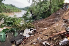 Abrasi Sungai Ciujung, Rusak Lima Rumah Warga 