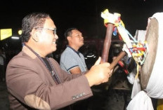 Maja Fest Bentuk Kerukunan dan Keharmonisan