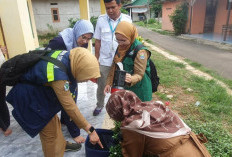 Kasus DBD Tahun 2025, Capai 941 Kasus, 1 Meninggal Dunia