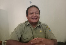 Dindik Kabupaten Tangerang Terima Ratusan Aduan SPMB, Perbaikan Titik Koordinat Jadi Keluhan Terbanyak