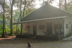 Di Antara Doa dan Sunyi Hutan Solear, Makam Kramat yang Ramai Diziarahi Namun Terlupakan
