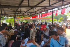 Program Pemutihan Dinilai Jauh dari Target