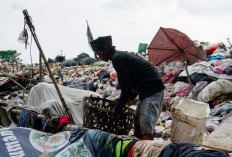 Pembakaran Sampah dan Limbah Masih Marak, Pelaku Bisa Dipidana hingga 3 Tahun Penjara