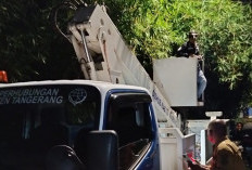 Padam Seminggu, Lampu Jalan Menyala Kembali