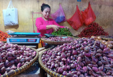 MBG Libur, Harga Sembako di Pasar Tradisional Turun