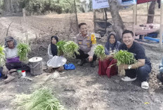 BUMDes Naga Lestari Jadi Motor Penggerak Ekonomi