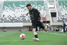 Persita Tangerang vs Borneo Samarinda FC, Pakai Trio Striker, Diprediksi Menang Tipis