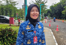 Selama 2025 Terjadi 648 Kasus DBD