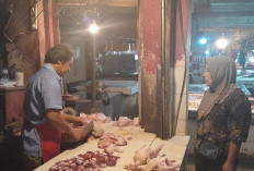 Harga Telur dan Ayam Potong Naik