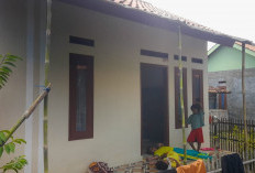 500 Lebih Rumah Warga Direnovasi