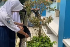 Kader Adiwiyata SMPN 3 Pagedangan Gencarkan Kampanye Konservasi Energi, Ajak Siswa Jadi Agen Perubahan