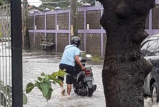 Pendapatan Pedagang Anjlok Akibat Banjir