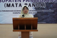 Bapenda Luncurkan Aplikasi Mata Panda