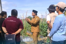 Desa Sodong Kembangkan Eduwisata Pertanian, Jadi Tempat Belajar Mahasiswa dan Pelajar