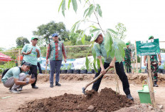 19 Ribuan Bibit Pohon Ditanam di Eks Galian C