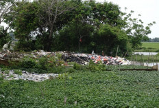 DLHK Angkut Residu dari Lapak Limbah, Untuk Meminimalisir Dampak Lingkungan