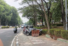 PT TNG Bidik Parkir Liar 